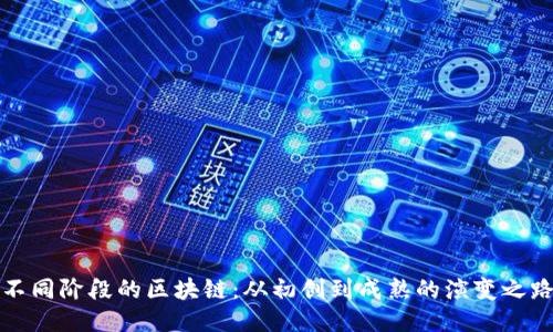 不同阶段的区块链：从初创到成熟的演变之路