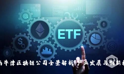 海南牛津区块链公司全景解析：产业发展与创新机遇