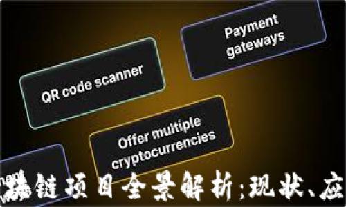 
郑州获批的区块链项目全景解析：现状、应用及未来趋势