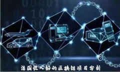 法国收入好的区块链项目分析