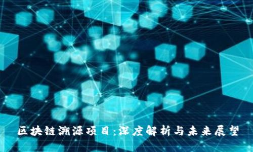 区块链溯源项目：深度解析与未来展望
