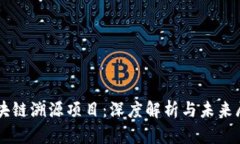 区块链溯源项目：深度解析与未来展望