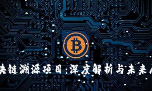 区块链溯源项目：深度解析与未来展望