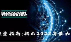 区块链投资指南：揭示2023年最大龙头股票