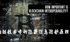区块链技术中的隐藏信息防护原理解析
