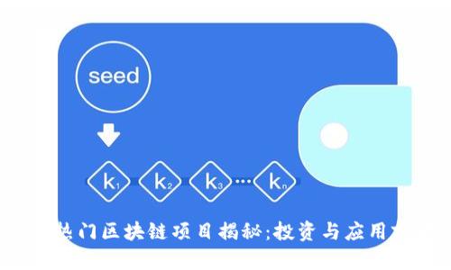 2023年热门区块链项目揭秘：投资与应用前景分析