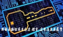 理解区块链项目态度：探索、应用与未来展望