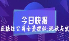临淄区区块链公司全景探秘：现状与发展趋势