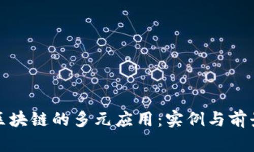 探索区块链的多元应用：实例与前景分析