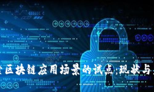 探索区块链应用场景的试点：现状与未来