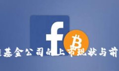 区块链基金公司的上市现状与前景分析