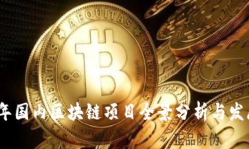 2023年国内区块链项目全景分析与发展趋势