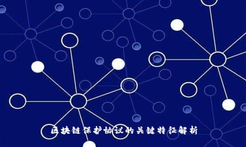 区块链保护协议的关键特征解析