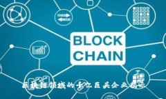 区块链领域的千亿巨头企业揭示
