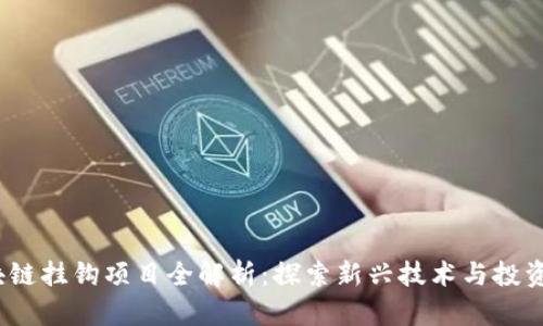  区块链挂钩项目全解析：探索新兴技术与投资机会