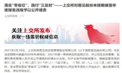区块链产业园的多元化项目探索与发展