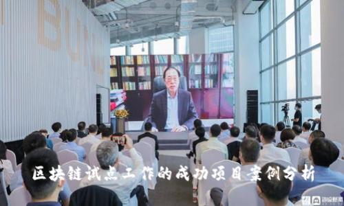 区块链试点工作的成功项目案例分析