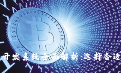 区块链应用开发系统全面解析：选择合适平台的指南