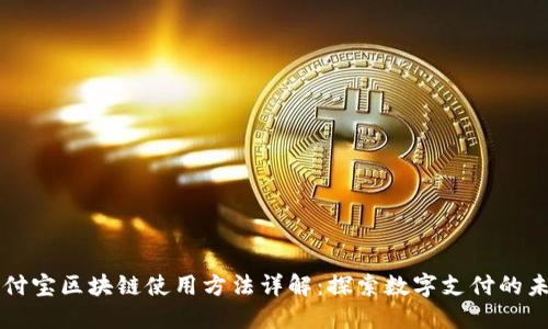 支付宝区块链使用方法详解：探索数字支付的未来
