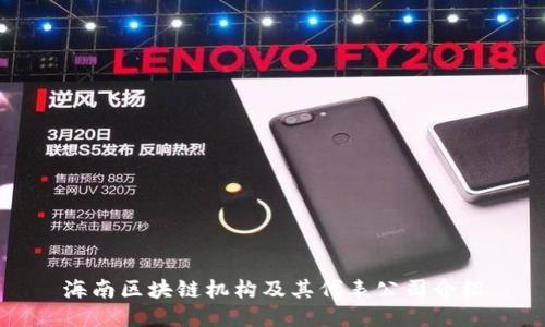 海南区块链机构及其代表公司介绍