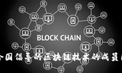 探索联合国倡导的区块链技术的成员国与应用