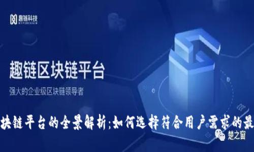 趣步区块链平台的全景解析：如何选择符合用户需求的最佳方案