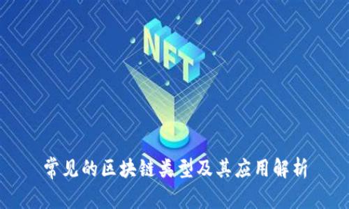 常见的区块链类型及其应用解析
