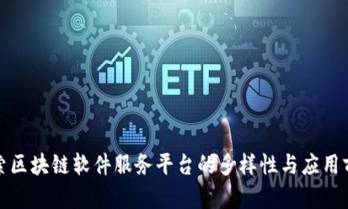 探索区块链软件服务平台的多样性与应用前景