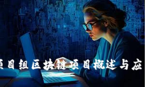 项目组区块链项目概述与应用