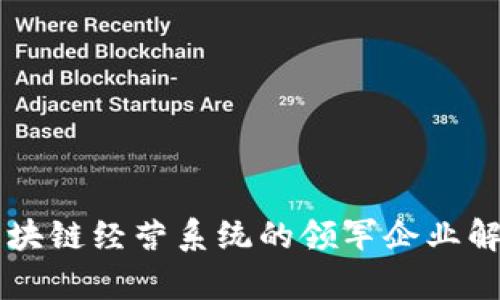 区块链经营系统的领军企业解析