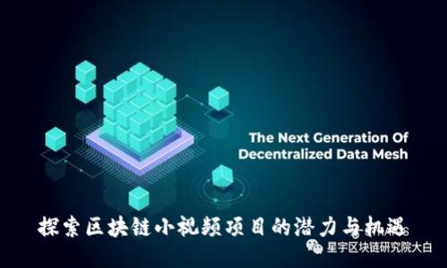 探索区块链小视频项目的潜力与机遇