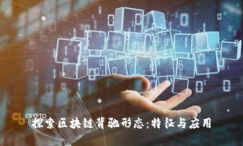探索区块链背驰形态：特征与应用