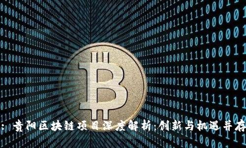 : 贵阳区块链项目深度解析：创新与机遇并存