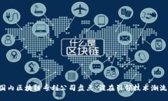 国内区块链专利公司盘点：谁在引领技术潮流？