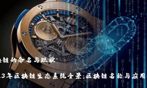 区块链的命名与现状

2023年区块链生态系统全景：区块链名称与应用概览