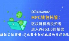 区块链公链详解：从比特币到以太坊的多样化选