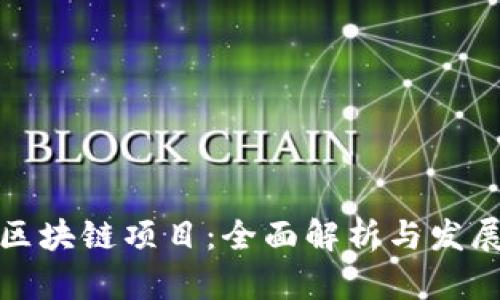 前端区块链项目：全面解析与发展趋势