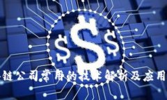 区块链公司常用的技术解析及应用案例