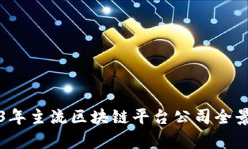2023年主流区块链平台公司全景分析