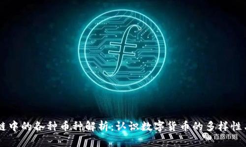 区块链中的各种币种解析：认识数字货币的多样性与应用
