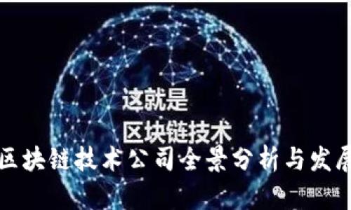 南昌区块链技术公司全景分析与发展趋势