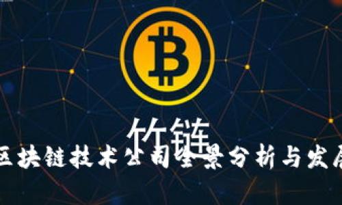 南昌区块链技术公司全景分析与发展趋势