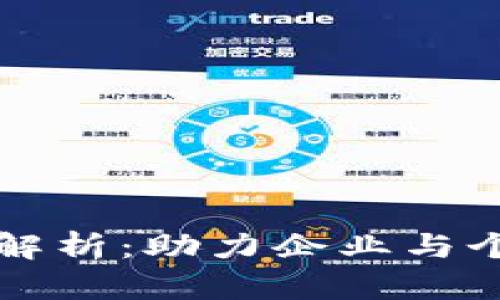 区块链调查服务的全面解析：助力企业与个人解决区块链领域难题