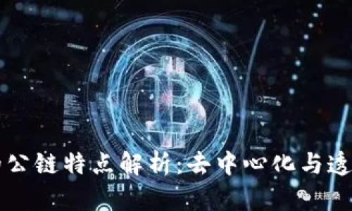 区块链中的公链特点解析：去中心化与透明性的未来