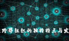 区块链跨界组织的独特特点与发展展望