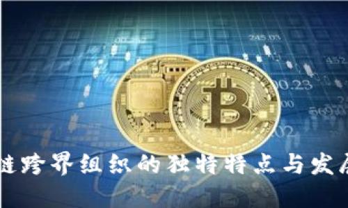区块链跨界组织的独特特点与发展展望