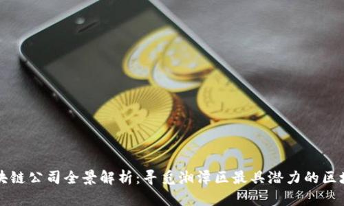 湘潭区块链公司全景解析：寻觅湘潭区最具潜力的区块链企业