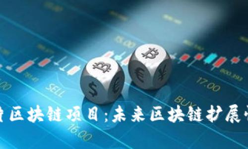 全面解析分片区块链项目：未来区块链扩展性的解决方案