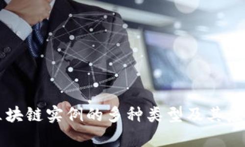 国内区块链实例的多种类型及其应用分析