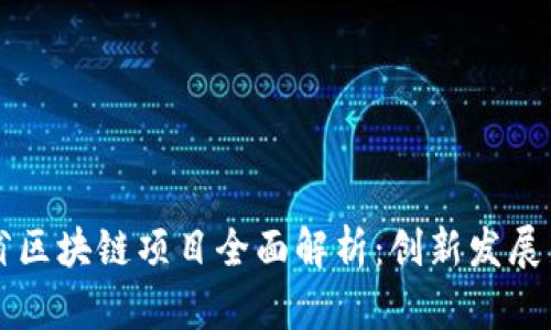 山东省区块链项目全面解析：创新发展新动能